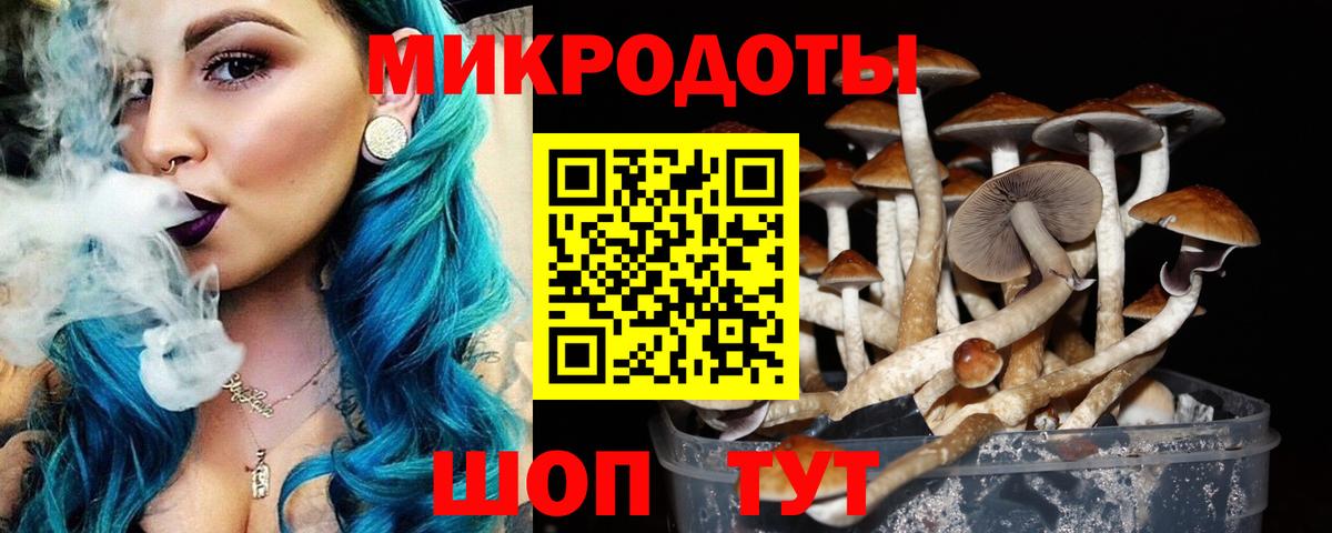 Псилоцибиновые грибы Psilocybe Алатырь