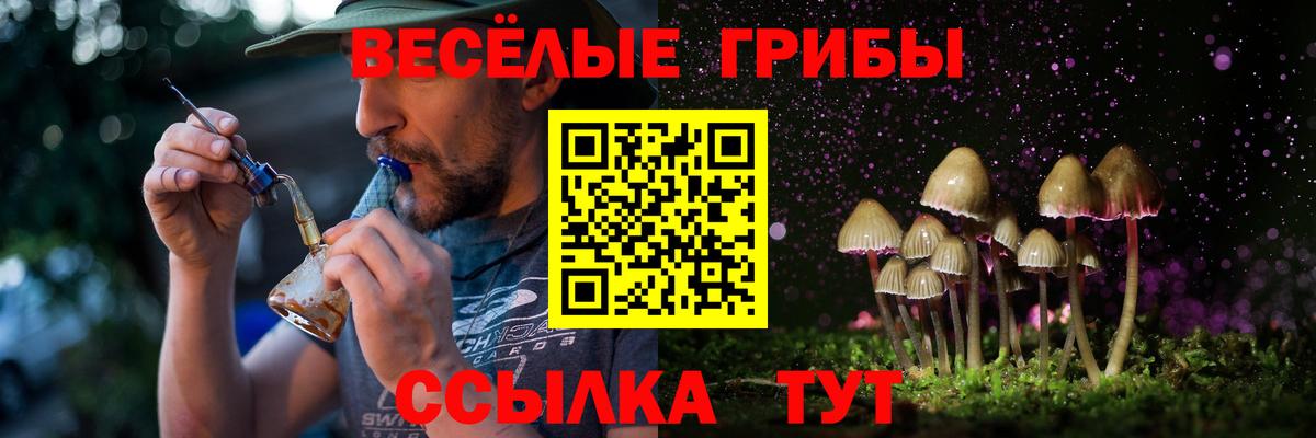 Галлюциногенные грибы GOLDEN TEACHER  Вход с VPN  Алатырь 