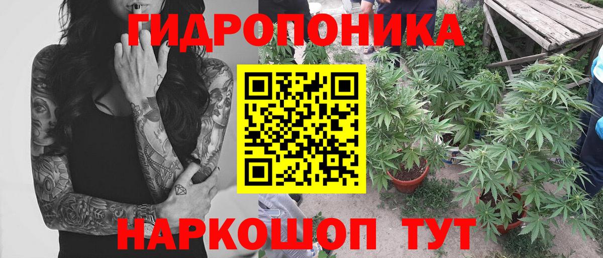 Конопля ГИДРОПОН  Конопля MAZAR  Алатырь  Бошки Шишки AK-47  Вход с VPN 